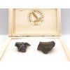 SET meteoritů 1+1