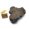 SET meteoritů