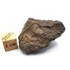 SET meteoritů