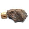 Meteorit NWA X 31,5 g