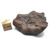 Meteorit NWA X 31,5 g