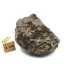 Meteorit NWA X 54,3 g