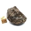 Meteorit NWA X 54,3 gr.