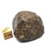 Meteorit NWA X 54,3 g