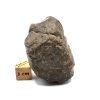 Meteorit NWA X 61,9 g