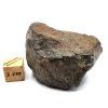 Meteorit NWA X 61,9 g