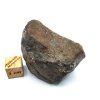 Meteorit NWA X 61,9 gr.