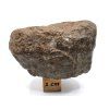Meteorit NWA X 61,9 g