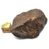 Meteorit NWA X 56,6 g