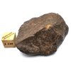 Meteorit NWA X 56,6 gr.