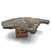 Marsovský meteorit Amgala 001 / 2,0 g / řez