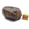Meteorit NWA X 54,9 g