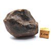Meteorit NWA X 54,9 g