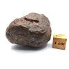 Meteorit NWA X 54,9 g