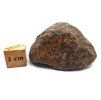 Meteorit NWA X 44,4 g
