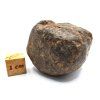 Meteorit NWA X 44,4 g
