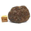 Meteorit NWA X 44,4 g