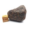 Meteorit NWA X 38,8 gr.