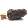 Meteorit NWA X 38,8 gr.