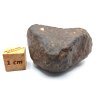 Meteorit NWA X 38,8 gr.