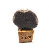 Meteorit NWA X / 2-3 g
