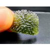 Vltavín / Moldavite 3,7 gr. / Nesměň