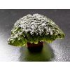 Vltavín / Moldavite 3,7 g