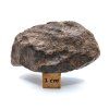 Meteorit NWA X 46,6 g