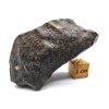 Meteorit NWA X 46,6 gr.