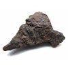 Meteorit NWA X 21,6 g