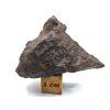 Meteorit NWA X 21,6 g