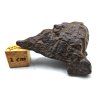 Meteorit NWA X 21,6 g
