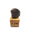 Meteorit Catalina 500 / 1,2 g