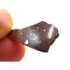 Meteorit NWA X 1,4 gr. / řez