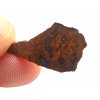 Meteorit NWA X 1,4 gr. / řez
