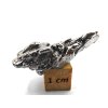 Meteorit Campo del Cielo  15 gr.