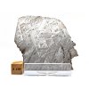 Meteorit Muonionalusta / leptaný řez / 53 gr.