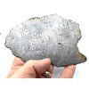 Meteorit Muonionalusta / leptaný řez / 117 g