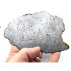 Meteorit Muonionalusta / leptaný řez / 117 gr.