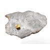 Meteorit Muonionalusta / leptaný řez / 117 gr.