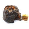 Meteorit NWA X 42,2 g