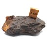 Meteorit NWA X 40,8 gr.