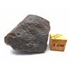 Meteorit NWA X 30,9 gr.