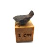 Meteorit NWA 13496 / 0,6 gr.