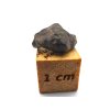 Meteorit NWA 13496 / 0,6 gr.