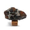 Meteorit Sericho 18,4 g / koncový řez