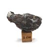 Meteorit Sericho 13,6 gr. / koncový řez
