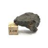 Meteorit Sericho 9,8 g / koncový řez