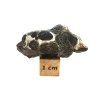 Meteorit Sericho 8,2 g / koncový řez