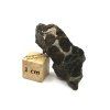 Meteorit Sericho 8,2 g / koncový řez